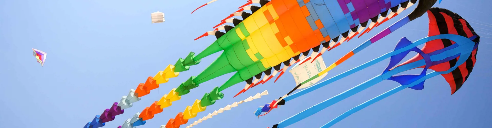 Streamlined shapes | KS3 science activity